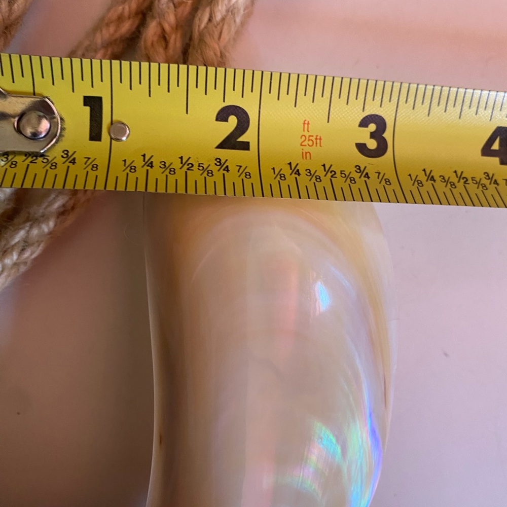 Belt- Elegant Cream Shell - Picture 10 of 11